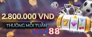 vnd88