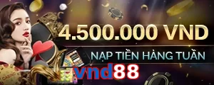 vnd88