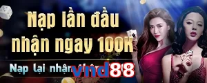 vnd88